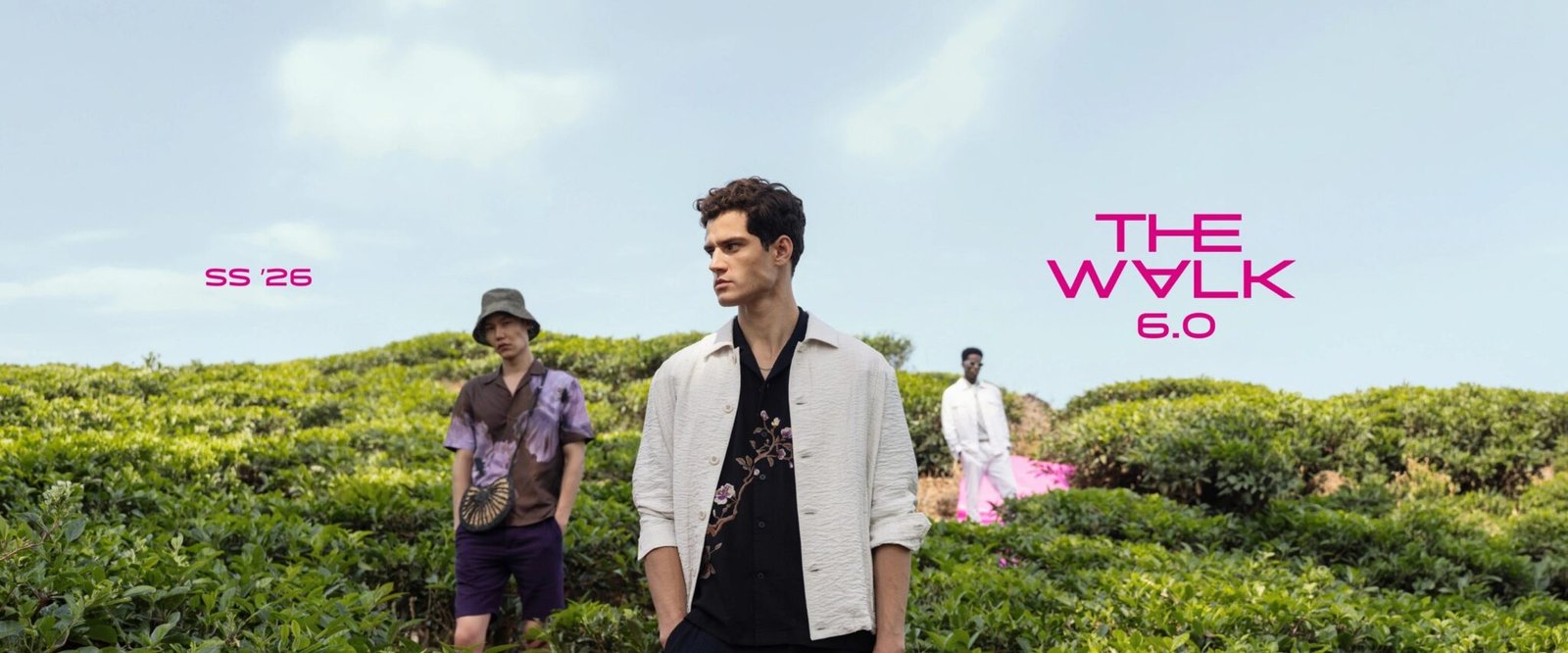 DESKTOP WEB WALK 6.0 RR